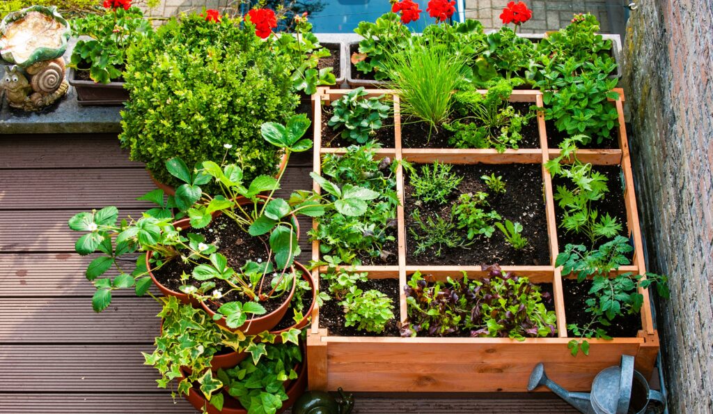 Canadian Balcony Garden Regulations