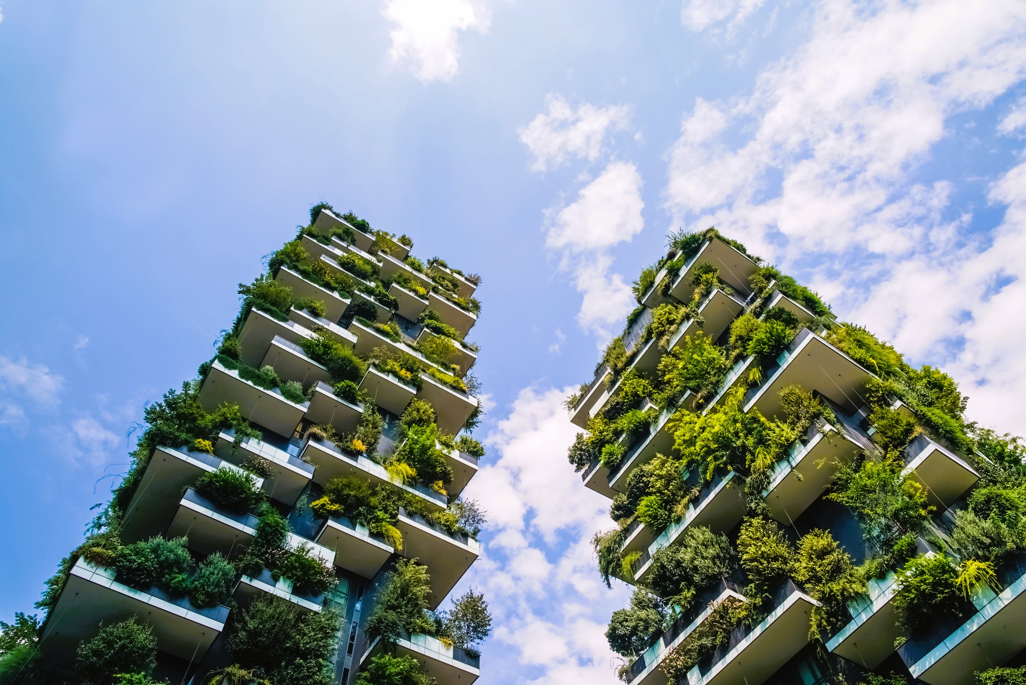 View of Eco-Friendly Construction: Advantages and Innovations in Bloomfield ...
