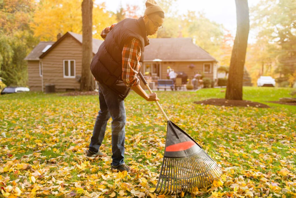 Fall Garden Cleanup Guide